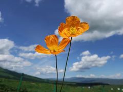 -新疆那拉提国家旅游度假区