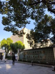 -上海交通大学医学院附属上海儿童医学中心(陆家嘴总院区)