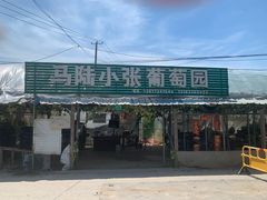 -马陆小张葡萄园农家乐