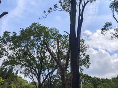 -人民公园(罗湖区)