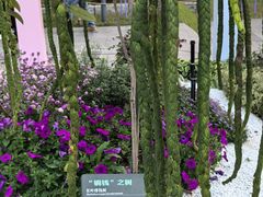 -云溪植物园