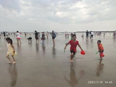 -奉贤海滩