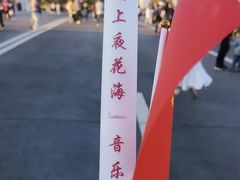 -荷兰花海