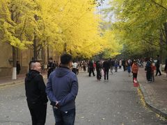 -辽宁大学(崇山校区)