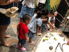 -太阳岛度假酒店