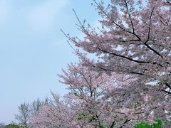 -玉山公园