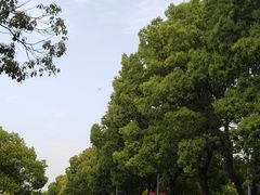 -华东政法大学(松江校区)