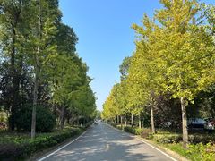 -黄陂区野村谷景区