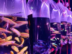 -华声天桥民俗文化园