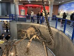 -国家自然博物馆