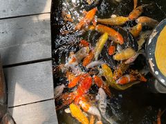 -上海大自然野生昆虫馆(东方明珠·爬宠昆虫探索中心)