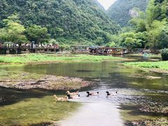 -靖西鹅泉风景区