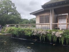 -富士山吉田線五合目