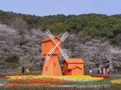 -苏州上方山国家森林公园