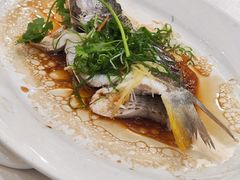 -有腥气私房菜·寻味顺德