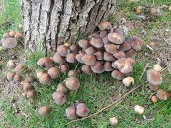 -艾溪湖湿地公园