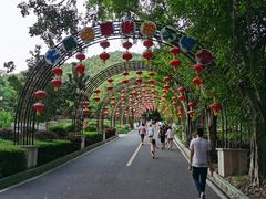 -大屏嶂森林公园
