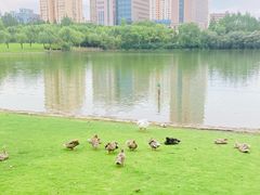 -黄兴公园