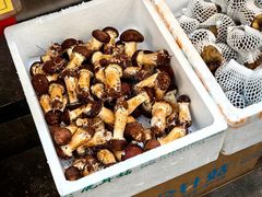 -昆明东站农贸市场