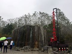 滨湖湿地公园-合肥滨湖国家森林公园