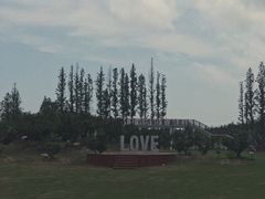 -上海长兴岛郊野公园