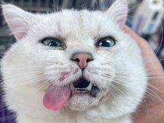 -达爱动物医院·犬猫分区·CT·复杂眼科(远洋山水分院)