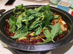 -黔渔翁豆花渎鱼(喷水池店)