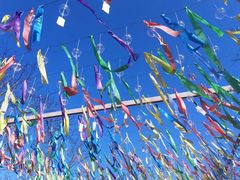 -绵阳盛世樱花悠乐谷