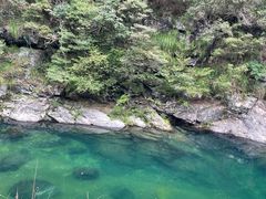 -石台牯牛降景区
