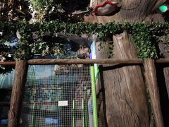 -蓝精灵乐园·世茂精灵之城主题乐园