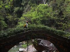 -天台山琼台仙谷景区