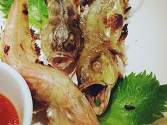 -The COOK·厨餐厅·自助餐(浦东嘉里大酒店)