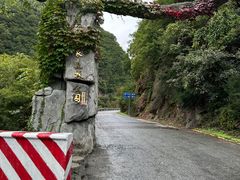 -黑河国家森林公园