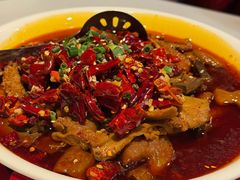 -金鼎轩(亚运村店)