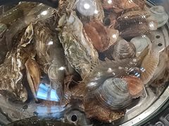 -前王院•巧克力海鲜市集餐厅(万平口店)