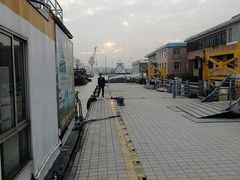 -长洲渡车船码头