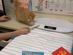 -瑞派康怡24h宠物医院·犬猫医疗中心·微创绝育(瑞景分院)