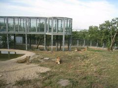 android_upload_pic-西安秦岭野生动物园