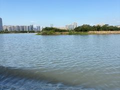 -三垟湿地