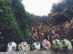 -东极岛景区