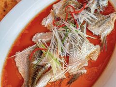 -丹江渔村(望京店)