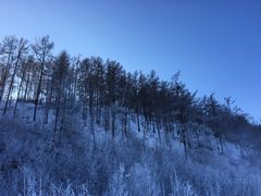 -北极村旅游风景区