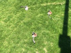 -无锡动物园·太湖欢乐园
