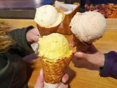 hokey&nbsp;pokey-Patagonia Chocolates(皇后镇店)