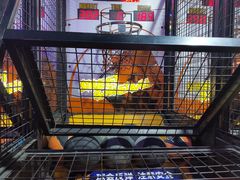 -大玩家(中原万达广场店)