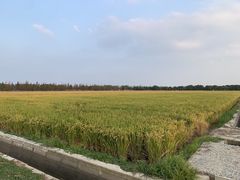 -嘉北郊野公园