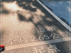 -海珠湖公园