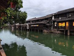 -乌镇西栅景区