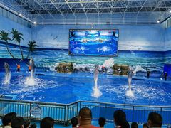 -多彩贵州城极地海洋世界