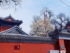 -北京艺术博物馆(万寿寺)